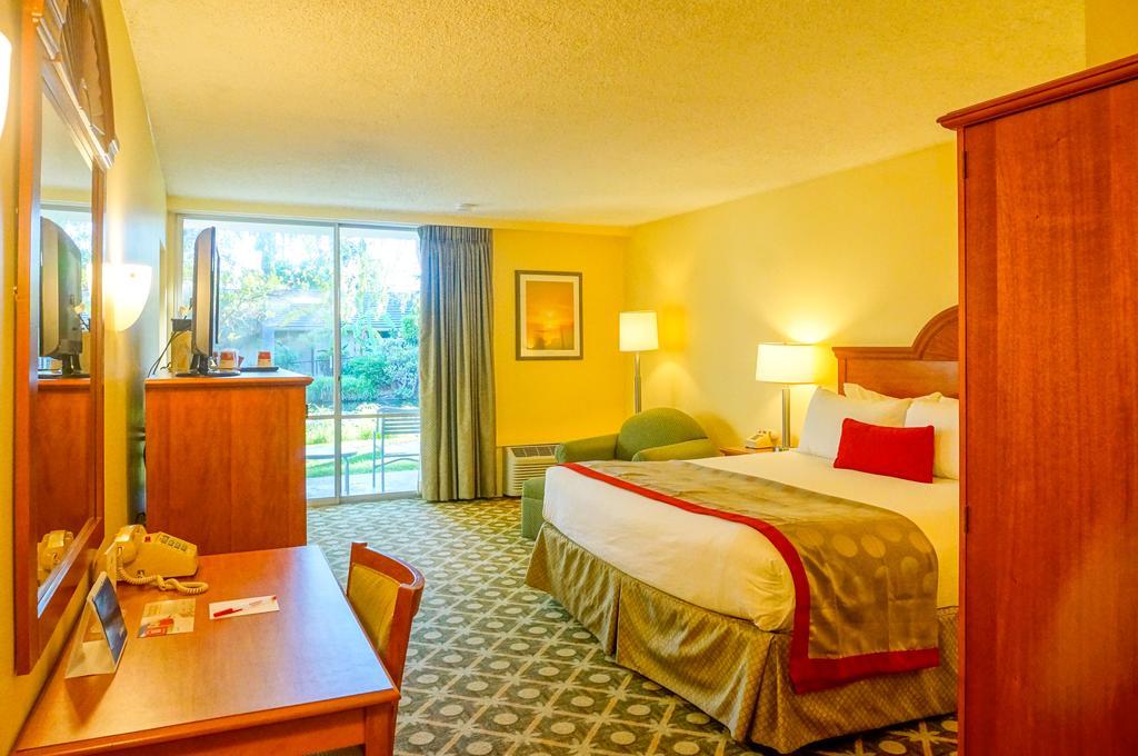 Superior King Room with Garden View - Non-Smoking,117044869:JPEG