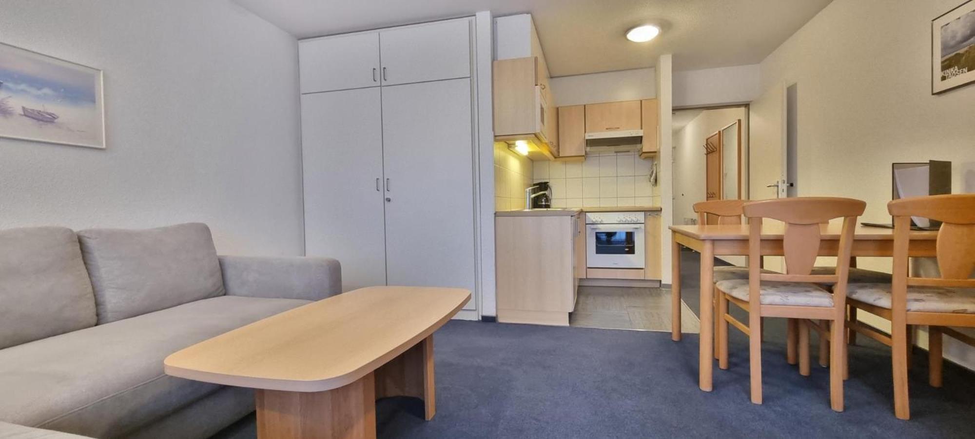 One-Bedroom Apartment with Sofa Bed,1658758373:JPEG