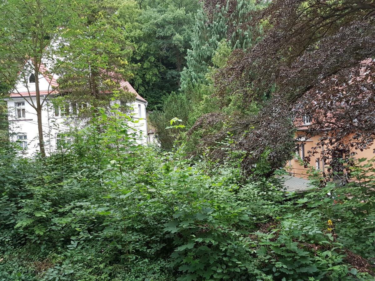 Double Room with Garden View,854935358:JPEG