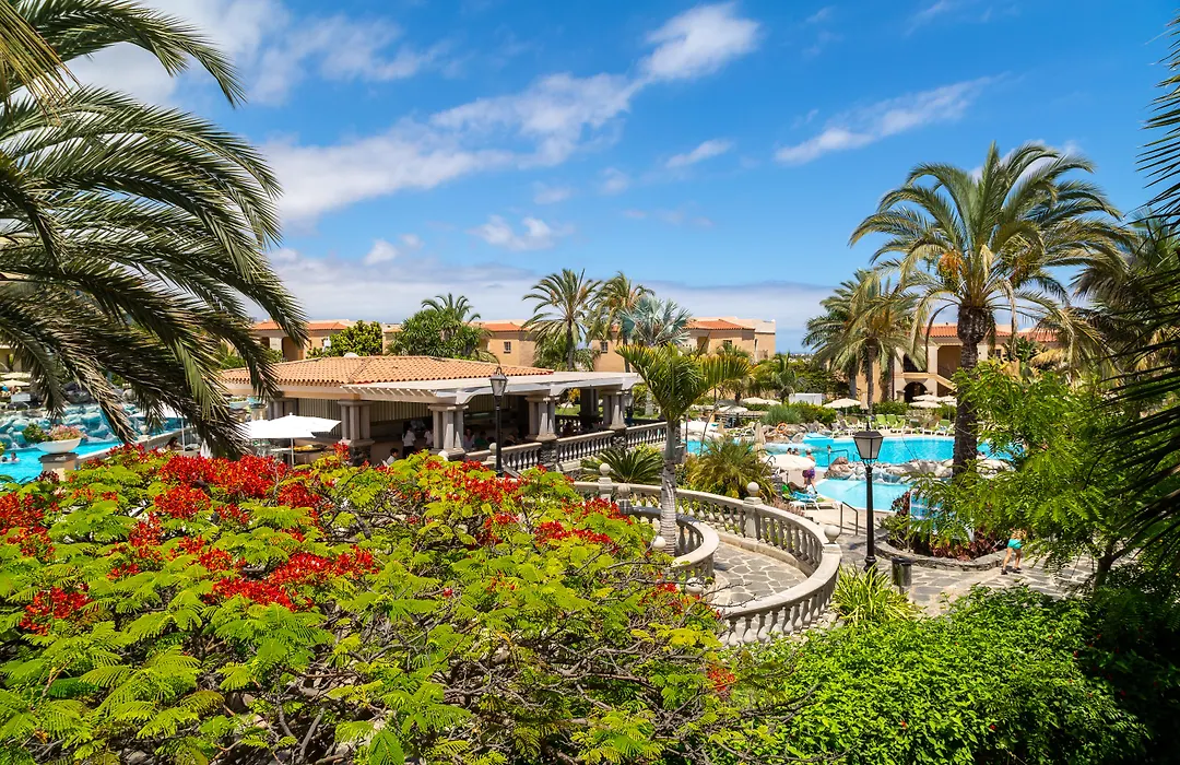 Palm Oasis Maspalomas-1