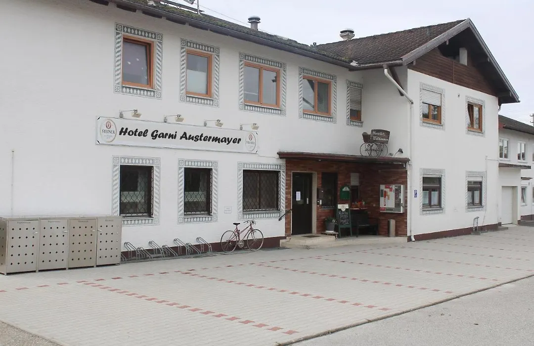 Hotel Austermayer-1