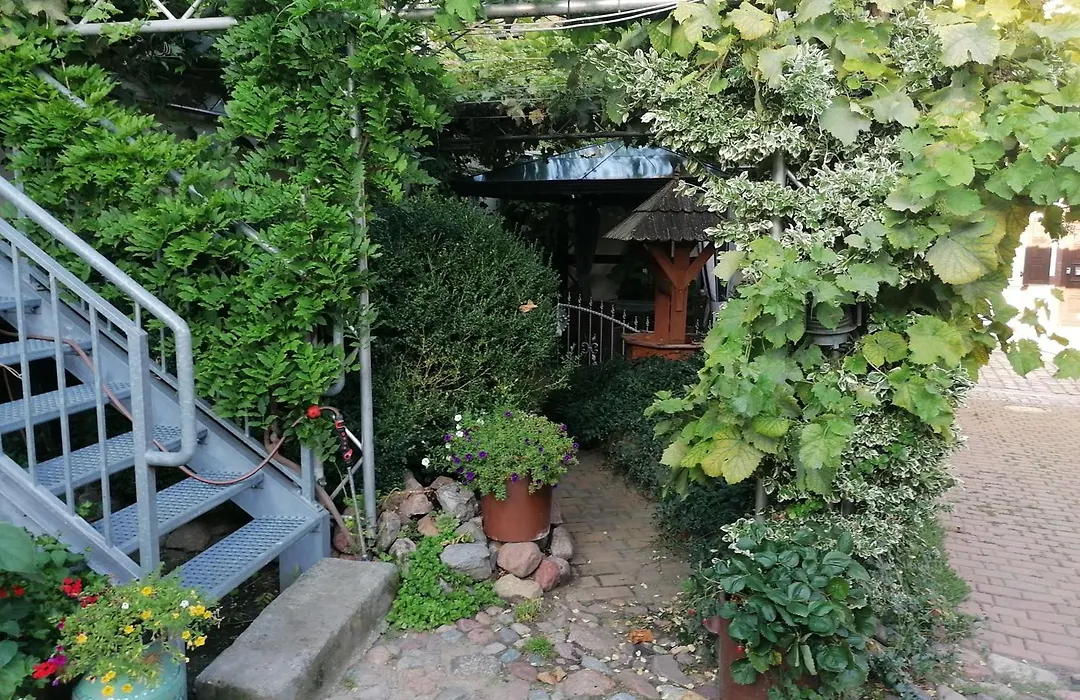 Pension Am Buhnenkopf-1