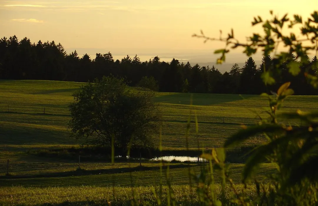 Landhotel Herzberger garni Zimmer&Ferienwohnungen-1