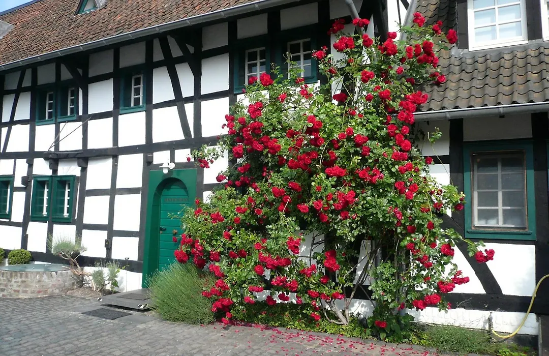 Falderhof-1