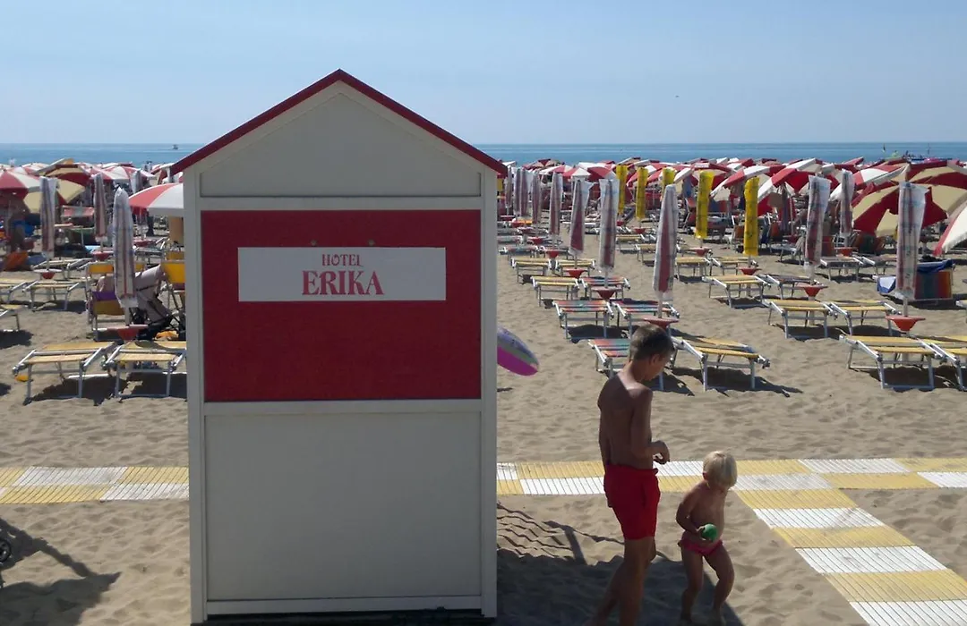 Hotel Erika-1