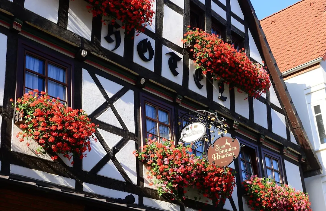 Hotel zum Braunen Hirschen-1