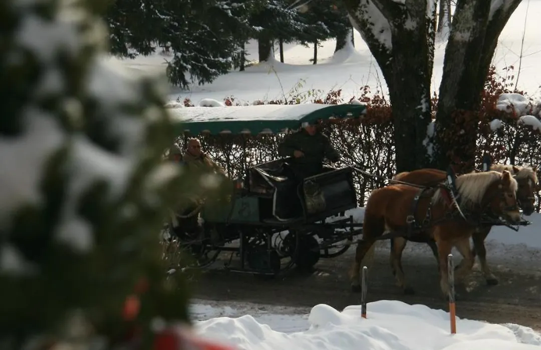 Pension Wolfgangsee-1