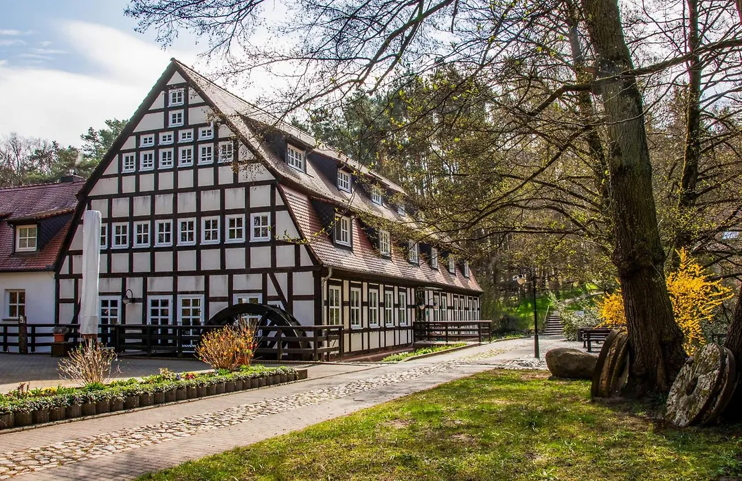 Springbach-Mühle Belzig-1
