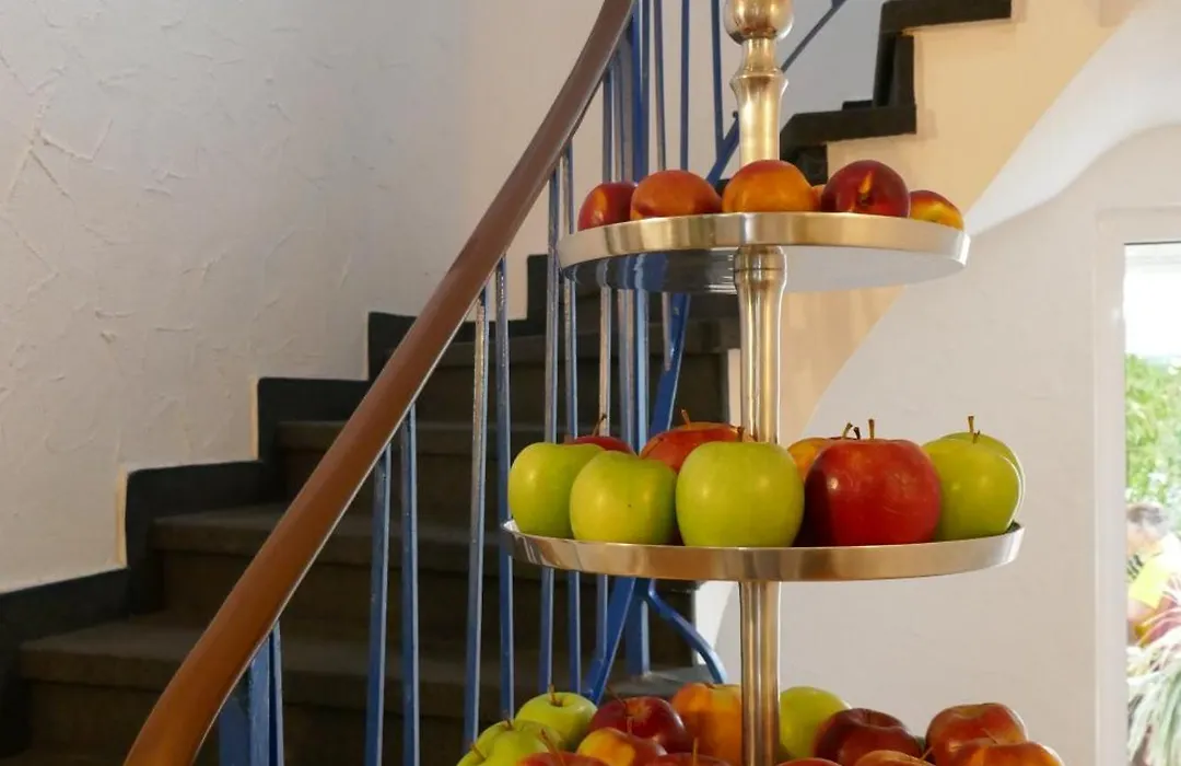 Hotel Bitzer Backnang Zentrum 24h Check In Frühstück zubuchbar gratis Parkplätze-1