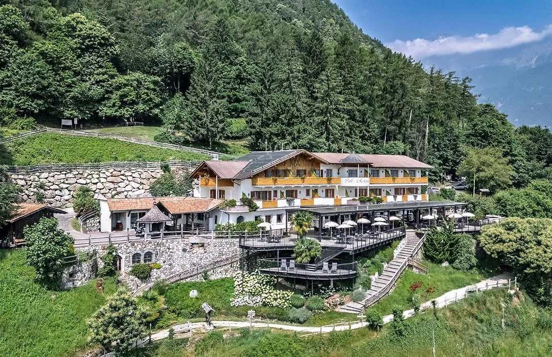 Hotel Gasthof Waldschenke-1