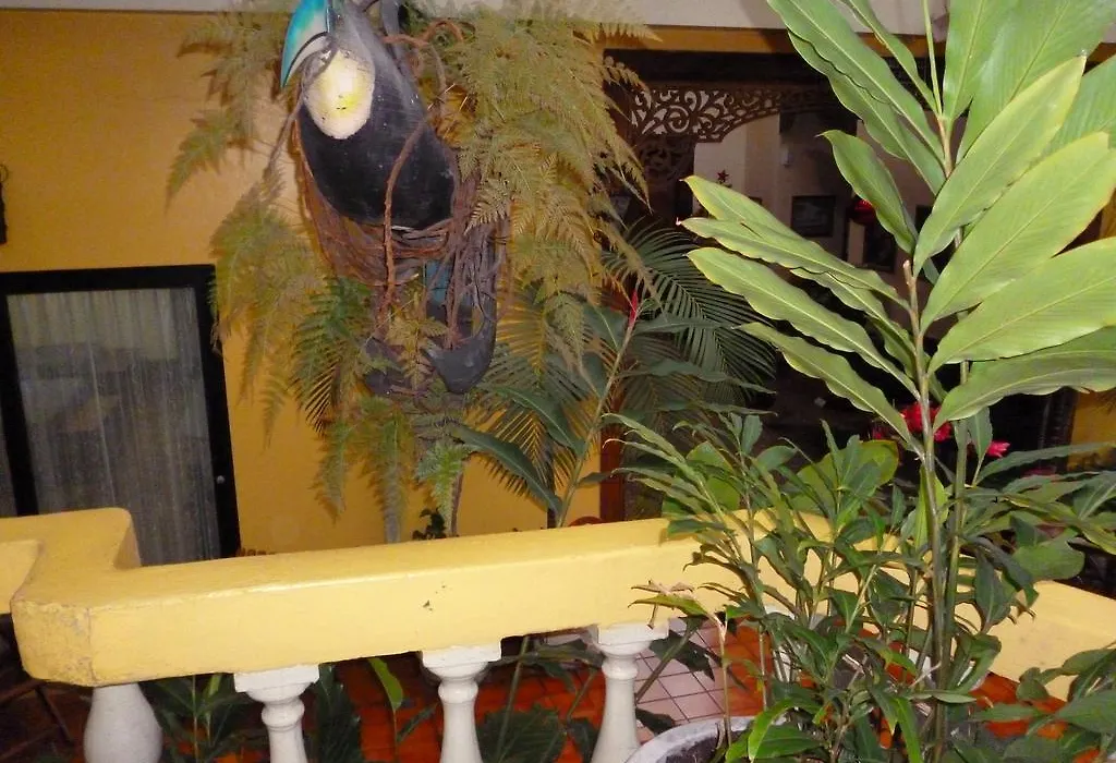 Hotel Don Carlos-1