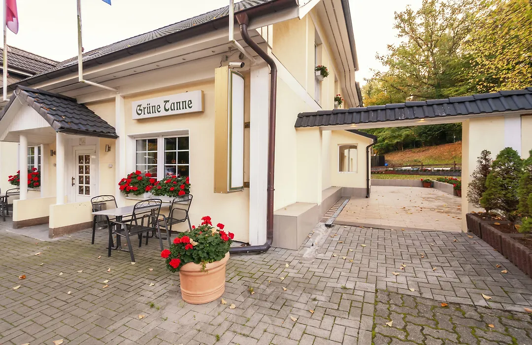 Hotel Grüne Tanne-1