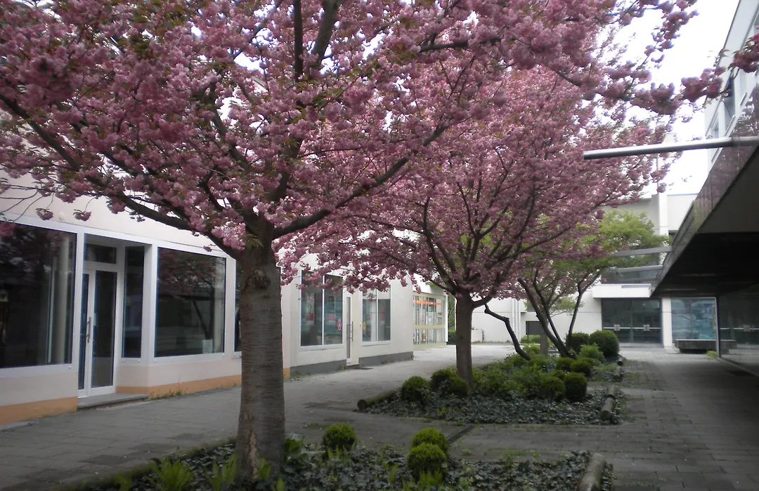 Hotel Lindleinsmühle-1