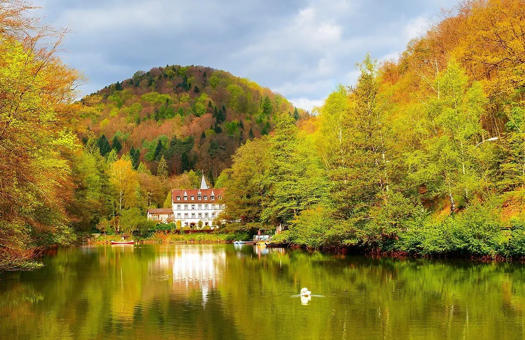 Hotel Pfälzer Wald-1