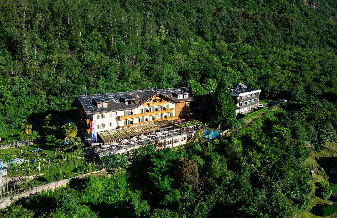 Hotel Tannhof-1