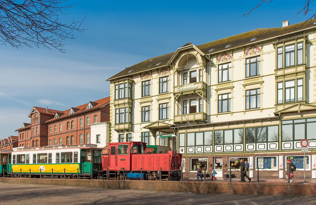 Hotel Rummeni-1