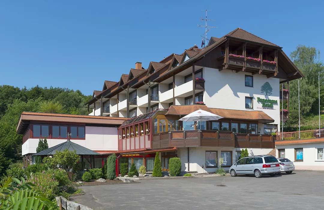 PANORAMA Hotel Heimbuchenthal-1