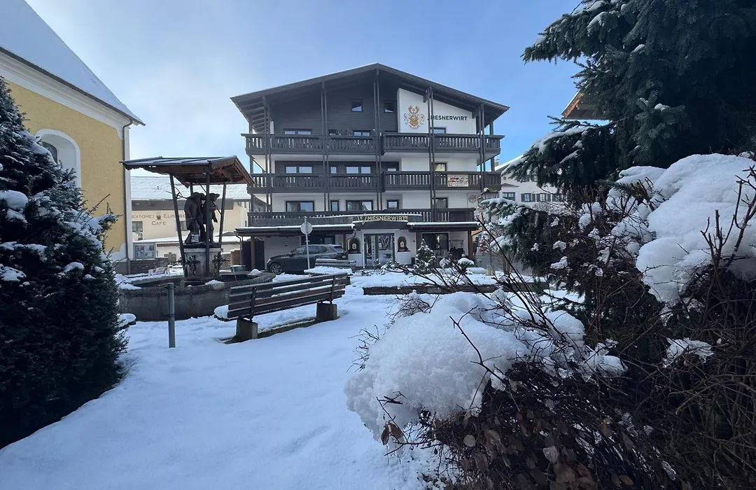 Hotel Mesnerwirt - Bergblick&Tiroler Küche-1