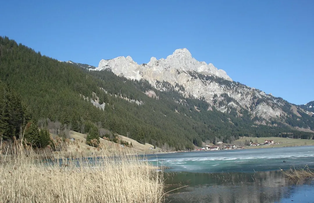 Alpina Appartements-1
