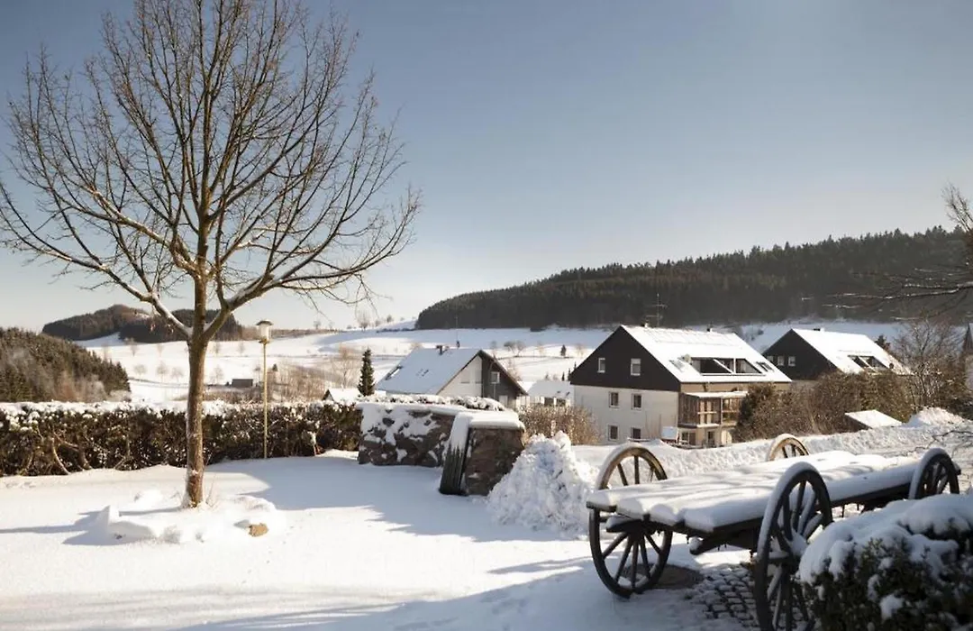 H+ Hotel Willingen By Sunday Hotels-1
