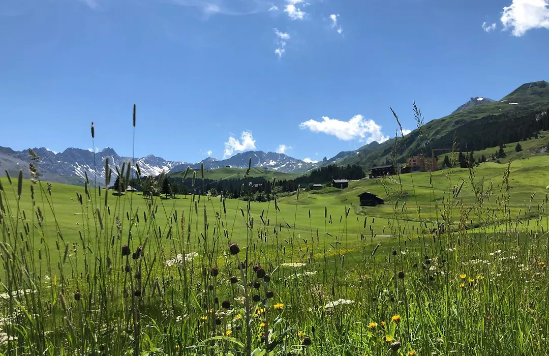 Arosa Vetter Hotel-1