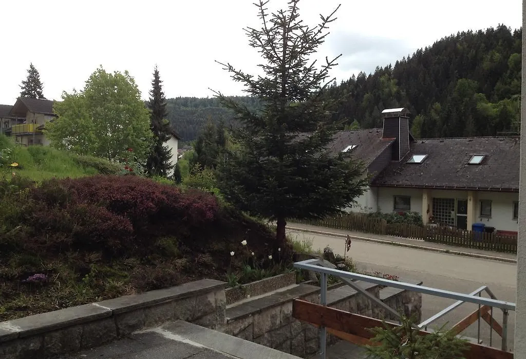 Pension Blaues Haus-1