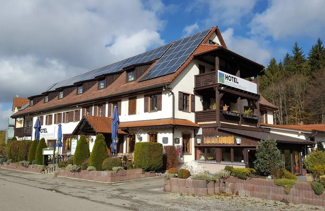 Hotel Seltenbacher Hof-1