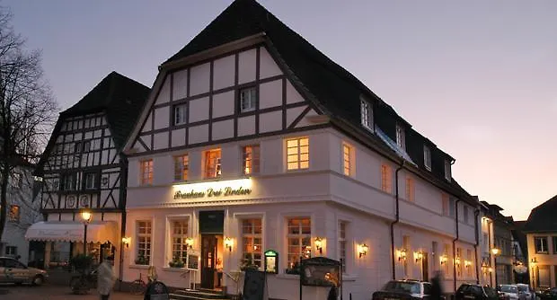 Hotel Drei Linden-1