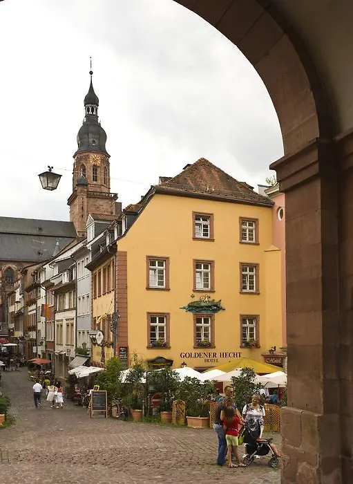 Hotel Goldener Hecht-1