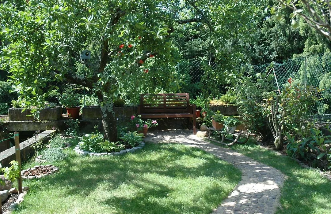 Mirabelle Bed&Breakfast-1
