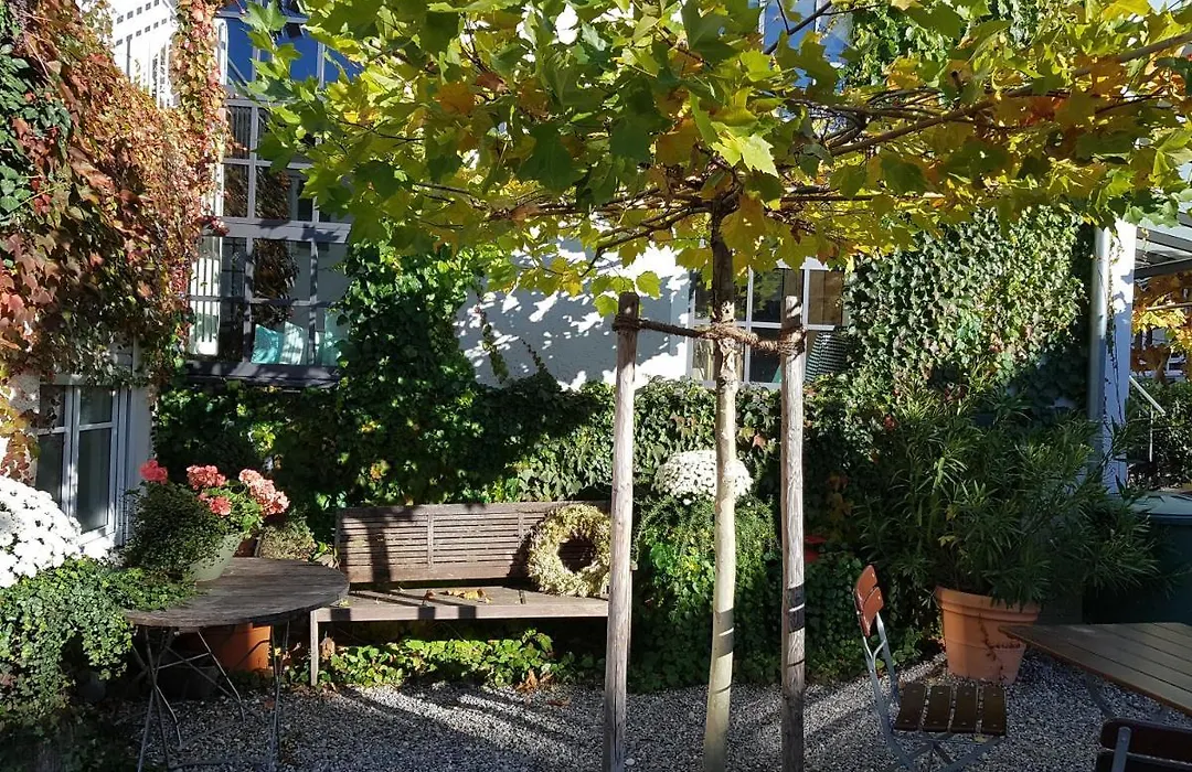 Hotel Gasthof Traubenbräu-1