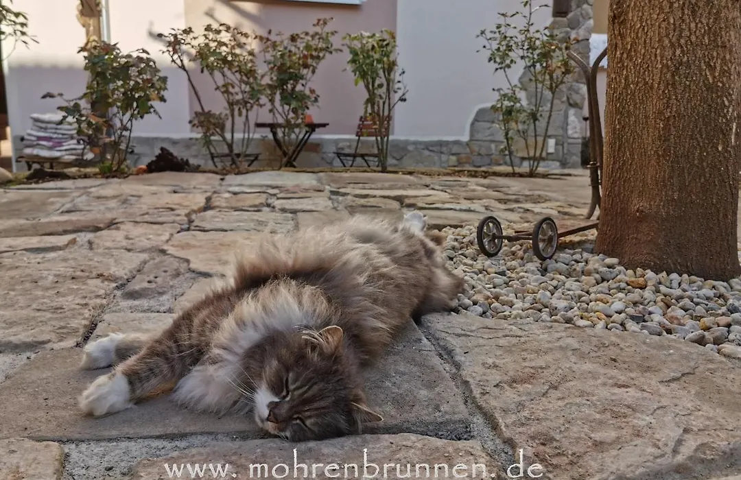 Hotel Mohrenbrunnen-1