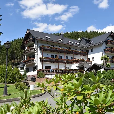 Hotel Thüringer Wald-3