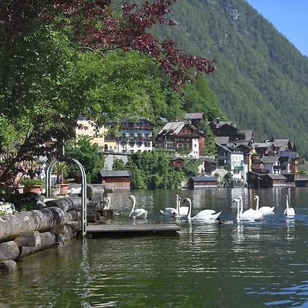 Gasthof Simony Hallstatt B&B-3