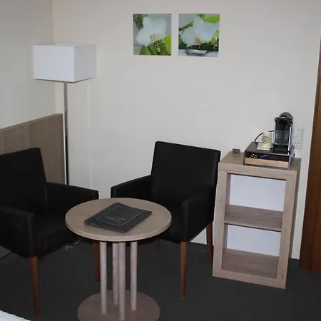 Pension Alfenz-2