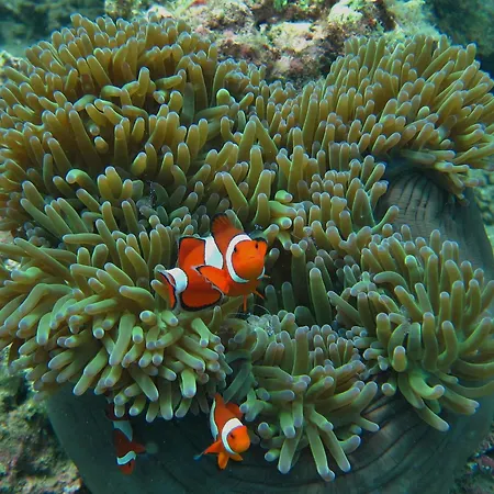 Ten Moons Lipe Resort-2