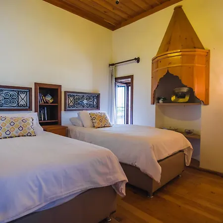 Hotel Villa Turka-2