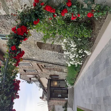 Hotel Le Macine-3