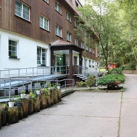 Waldhotel Harz Ilsenburg-3