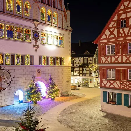 Hotel Restaurant Grüner Baum und Altes Tor-2