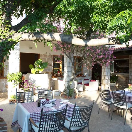Hotel Villa Barbat-3