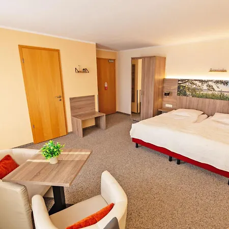 Hotel Zur Sonne-3