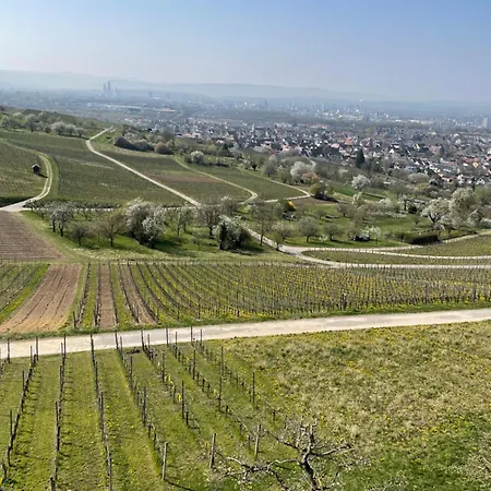 Landgasthof Rebstock Weil am Rhein / Basel-3