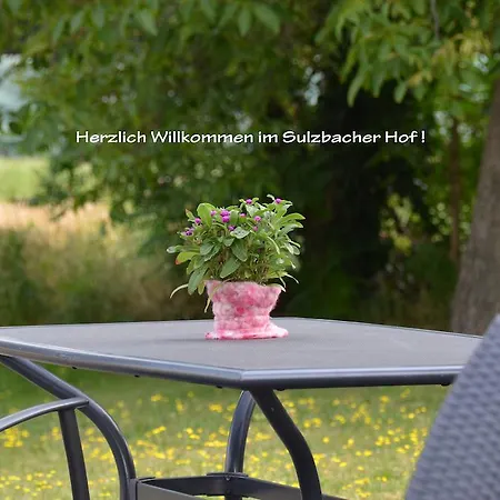 Landhotel Sulzbacher Hof-2
