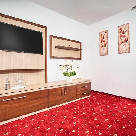 Apart Business Hotel-3