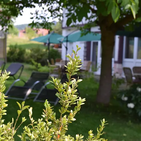 Landhotel Weisses Ross garni-2
