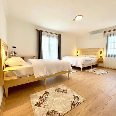 Dalaman Airport Alibaba Hotel-3