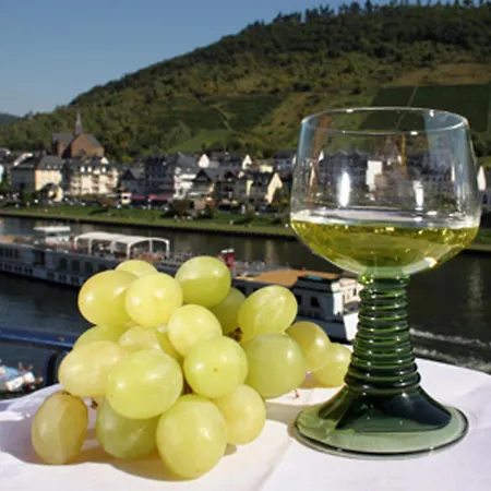 Hotel Karl Noss-3