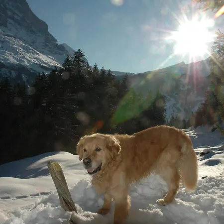 Alpenhof-3