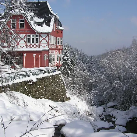 Hotel Steinerne Renne Garni-2